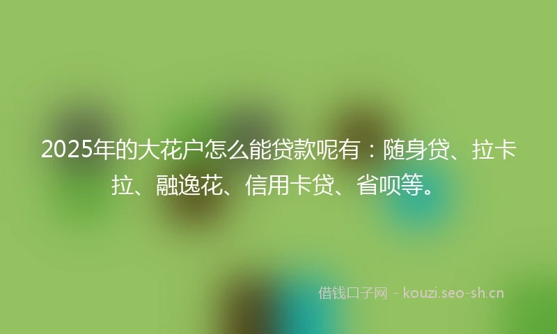 2025年的大花户怎么能贷款呢有：随身贷、拉卡拉、融逸花、信用卡贷、省呗等。