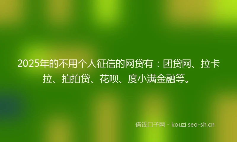 2025年的不用个人征信的网贷有：团贷网、拉卡拉、拍拍贷、花呗、度小满金融等。