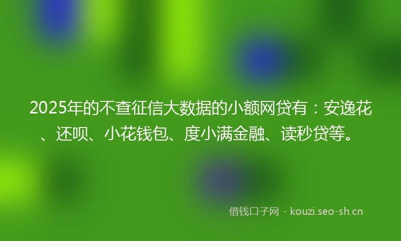 2025年的不查征信大数据的小额网贷有：安逸花、还呗、小花钱包、度小满金融、读秒贷等。