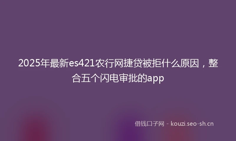 2025年最新es421农行网捷贷被拒什么原因，整合五个闪电审批的app