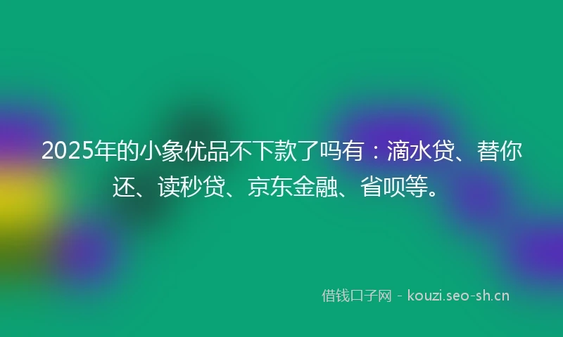 2025年的小象优品不下款了吗有：滴水贷、替你还、读秒贷、京东金融、省呗等。