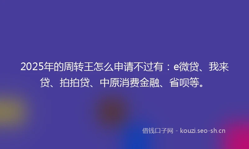 2025年的周转王怎么申请不过有：e微贷、我来贷、拍拍贷、中原消费金融、省呗等。