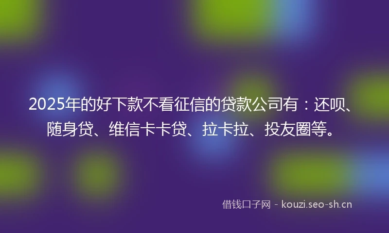 2025年的好下款不看征信的贷款公司有：还呗、随身贷、维信卡卡贷、拉卡拉、投友圈等。