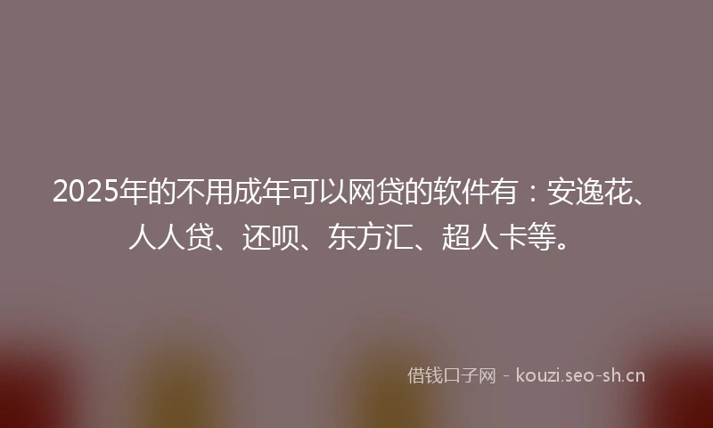 2025年的不用成年可以网贷的软件有：安逸花、人人贷、还呗、东方汇、超人卡等。