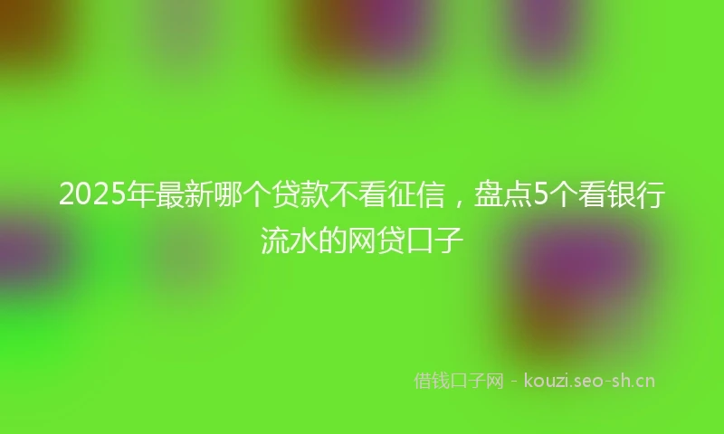 2025年最新哪个贷款不看征信，盘点5个看银行流水的网贷口子