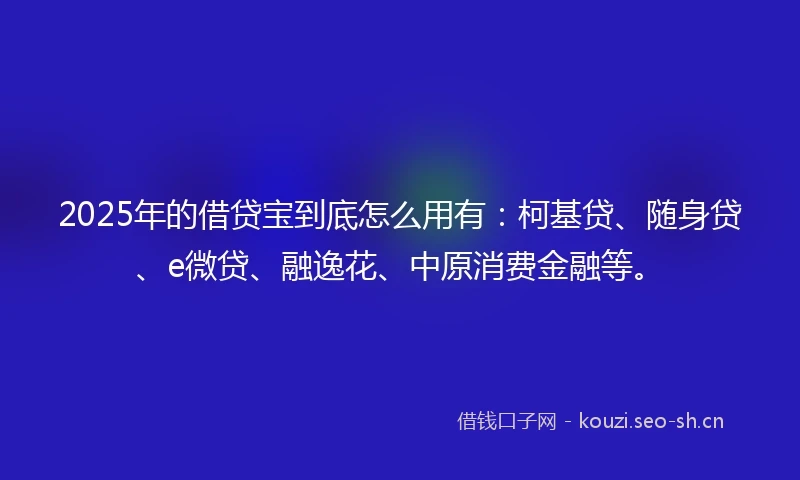 2025年的借贷宝到底怎么用有：柯基贷、随身贷、e微贷、融逸花、中原消费金融等。