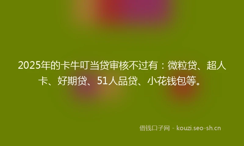 2025年的卡牛叮当贷审核不过有：微粒贷、超人卡、好期贷、51人品贷、小花钱包等。