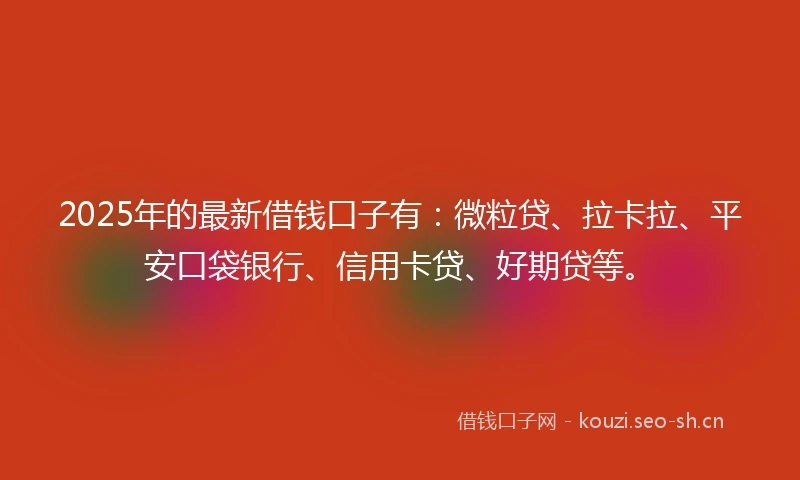 2025年的最新借钱口子有：微粒贷、拉卡拉、平安口袋银行、信用卡贷、好期贷等。