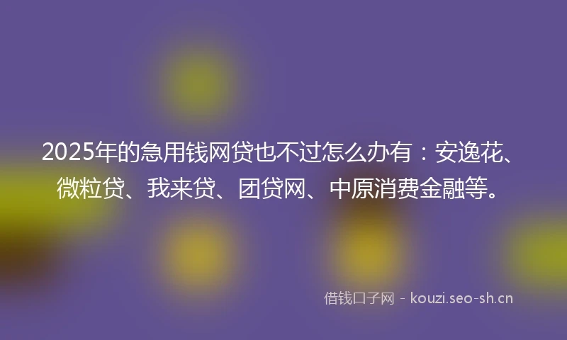 2025年的急用钱网贷也不过怎么办有：安逸花、微粒贷、我来贷、团贷网、中原消费金融等。