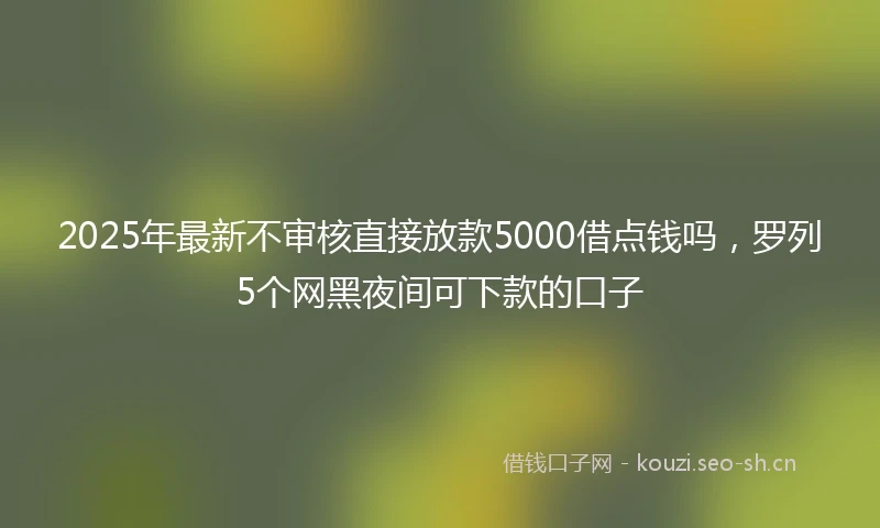 2025年最新不审核直接放款5000借点钱吗，罗列5个网黑夜间可下款的口子