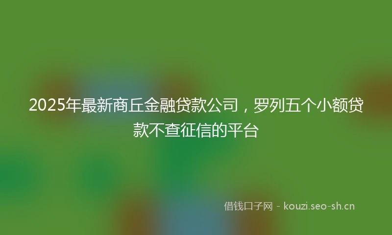 2025年最新商丘金融贷款公司，罗列五个小额贷款不查征信的平台