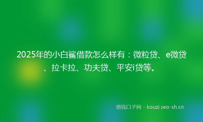 2025年的小白鲨借款怎么样有：微粒贷、e微贷、拉卡拉、功夫贷、平安i贷等。