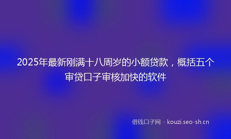2025年最新刚满十八周岁的小额贷款，概括五个审贷口子审核加快的软件