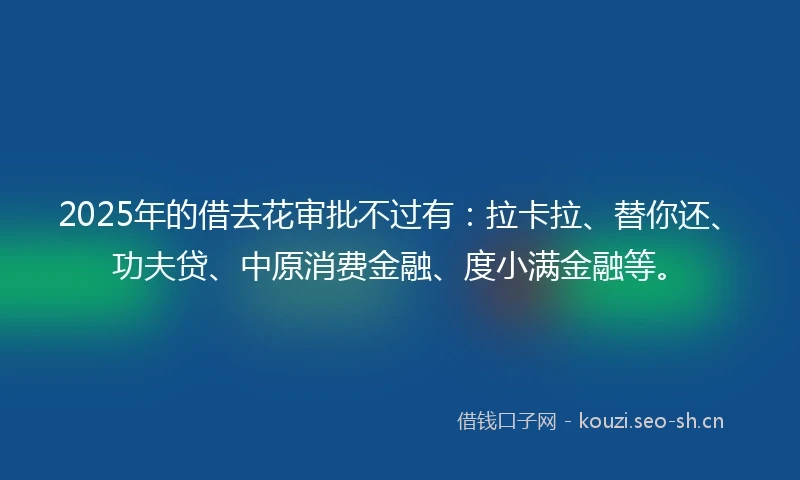 2025年的借去花审批不过有：拉卡拉、替你还、功夫贷、中原消费金融、度小满金融等。
