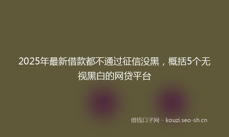 2025年最新借款都不通过征信没黑，概括5个无视黑白的网贷平台