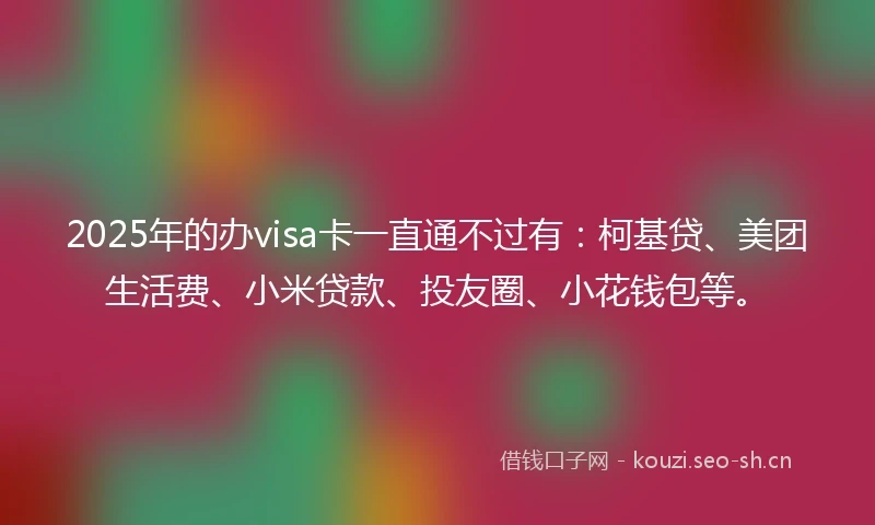 2025年的办visa卡一直通不过有：柯基贷、美团生活费、小米贷款、投友圈、小花钱包等。