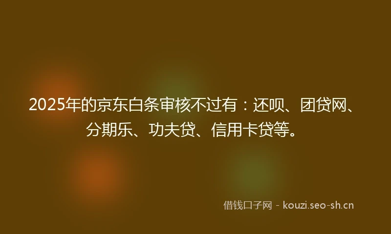 2025年的京东白条审核不过有：还呗、团贷网、分期乐、功夫贷、信用卡贷等。