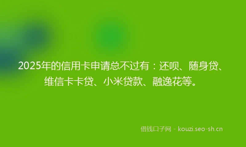 2025年的信用卡申请总不过有：还呗、随身贷、维信卡卡贷、小米贷款、融逸花等。