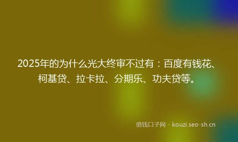 2025年的为什么光大终审不过有：百度有钱花、柯基贷、拉卡拉、分期乐、功夫贷等。