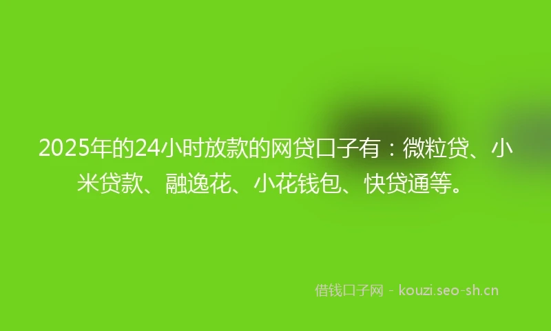 2025年的24小时放款的网贷口子有：微粒贷、小米贷款、融逸花、小花钱包、快贷通等。
