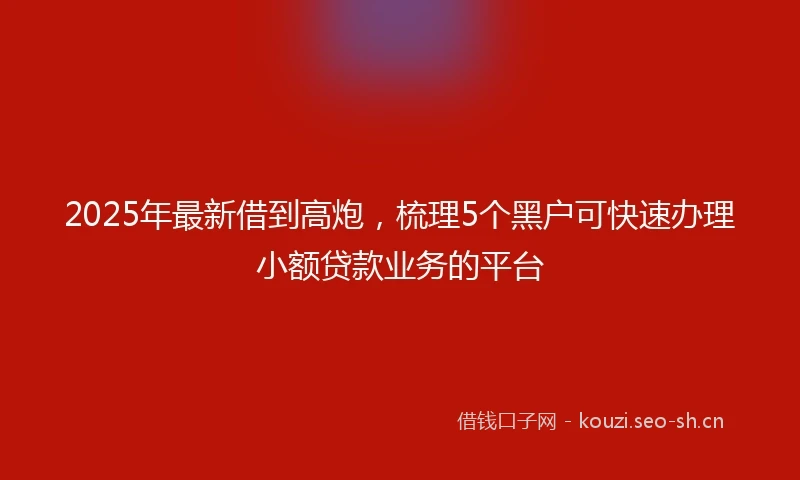 2025年最新借到高炮，梳理5个黑户可快速办理小额贷款业务的平台