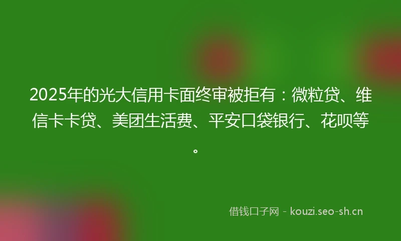 2025年的光大信用卡面终审被拒有：微粒贷、维信卡卡贷、美团生活费、平安口袋银行、花呗等。