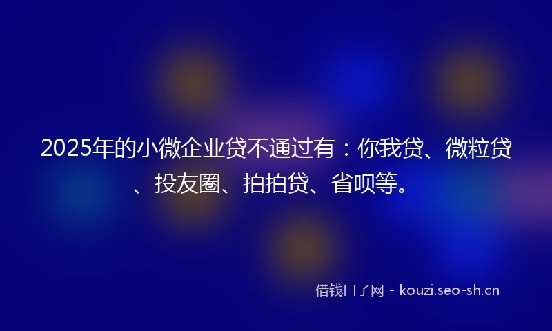 2025年的小微企业贷不通过有：你我贷、微粒贷、投友圈、拍拍贷、省呗等。