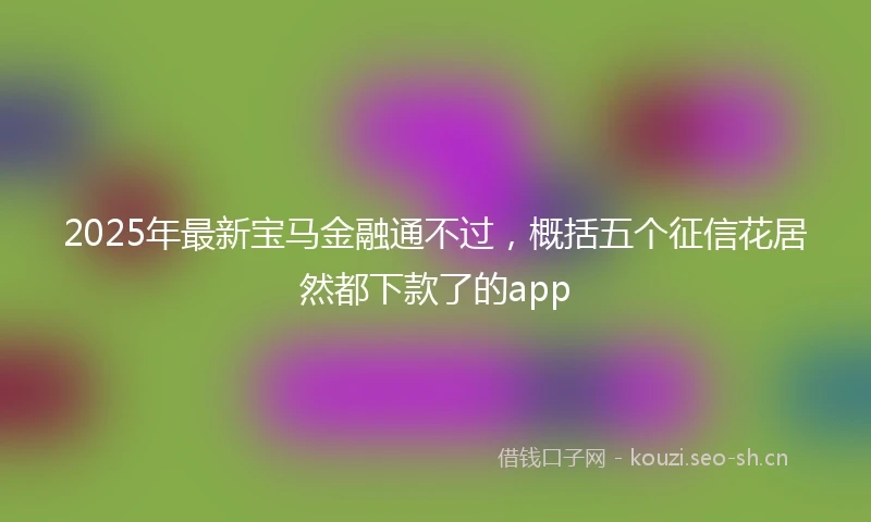 2025年最新宝马金融通不过，概括五个征信花居然都下款了的app