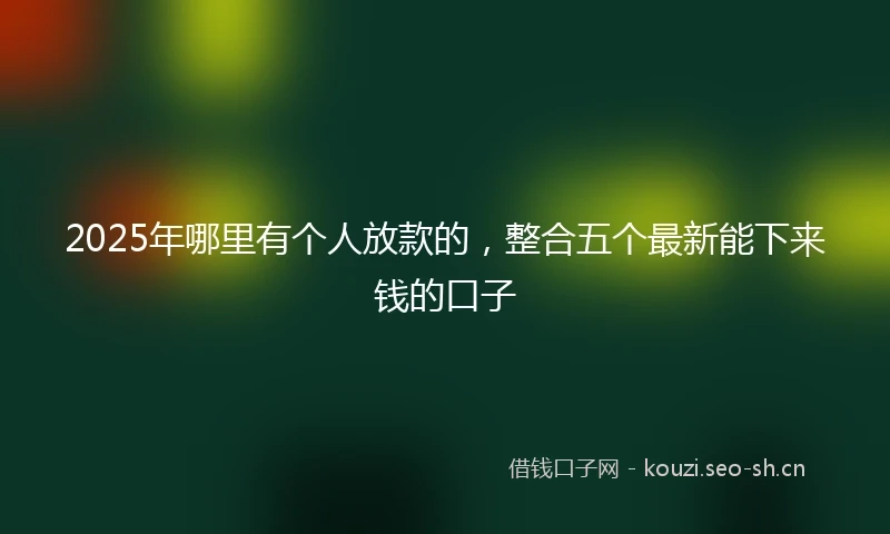 2025年哪里有个人放款的，整合五个最新能下来钱的口子