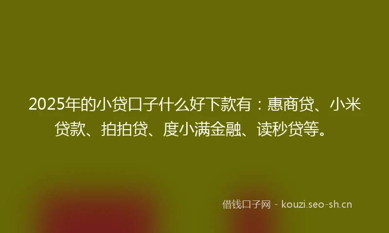 2025年的小贷口子什么好下款有：惠商贷、小米贷款、拍拍贷、度小满金融、读秒贷等。