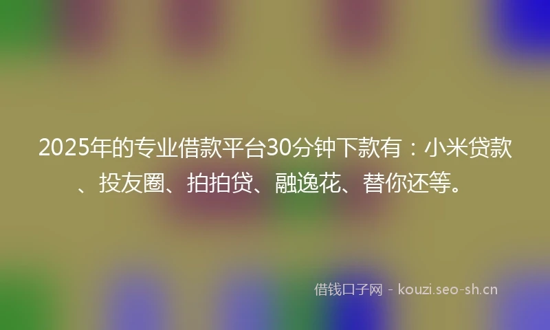 2025年的专业借款平台30分钟下款有：小米贷款、投友圈、拍拍贷、融逸花、替你还等。