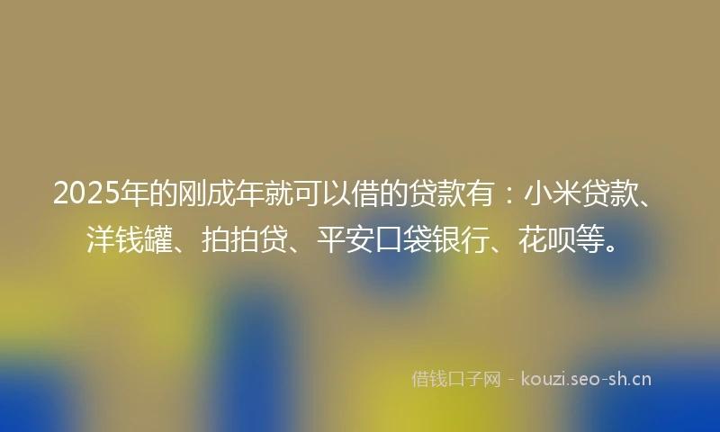 2025年的刚成年就可以借的贷款有：小米贷款、洋钱罐、拍拍贷、平安口袋银行、花呗等。