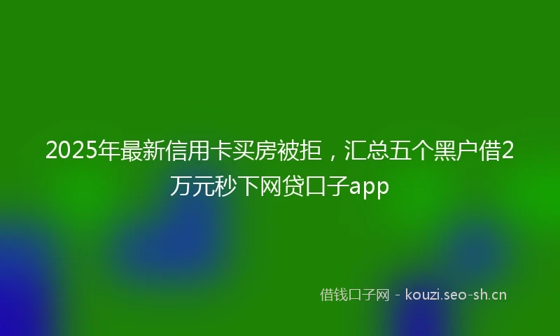 2025年最新信用卡买房被拒，汇总五个黑户借2万元秒下网贷口子app