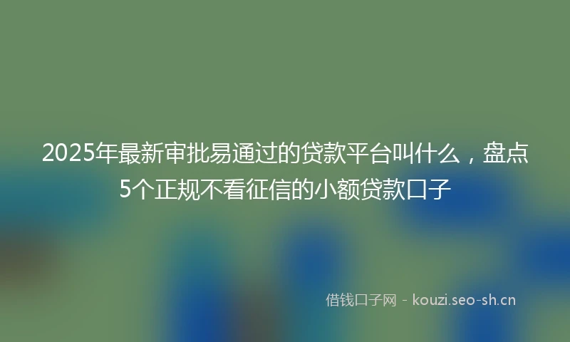 2025年最新审批易通过的贷款平台叫什么，盘点5个正规不看征信的小额贷款口子