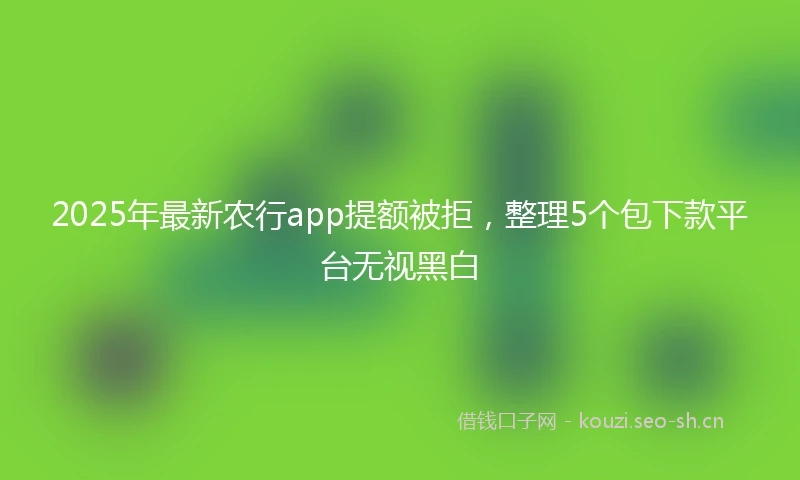 2025年最新农行app提额被拒，整理5个包下款平台无视黑白