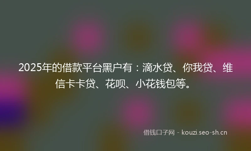 2025年的借款平台黑户有：滴水贷、你我贷、维信卡卡贷、花呗、小花钱包等。