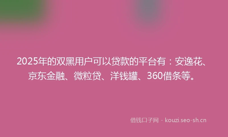 2025年的双黑用户可以贷款的平台有：安逸花、京东金融、微粒贷、洋钱罐、360借条等。
