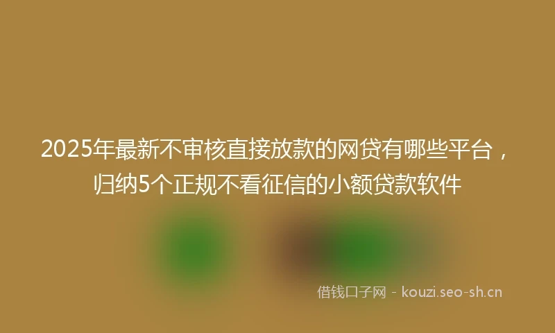 2025年最新不审核直接放款的网贷有哪些平台，归纳5个正规不看征信的小额贷款软件