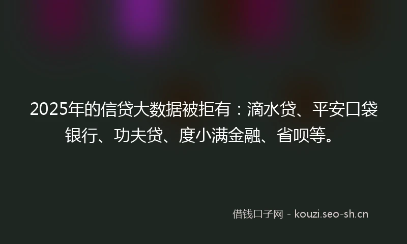 2025年的信贷大数据被拒有：滴水贷、平安口袋银行、功夫贷、度小满金融、省呗等。