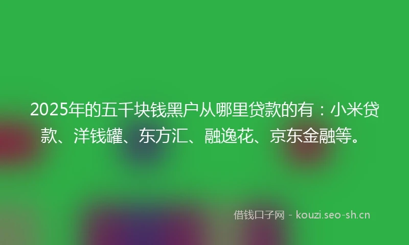 2025年的五千块钱黑户从哪里贷款的有：小米贷款、洋钱罐、东方汇、融逸花、京东金融等。