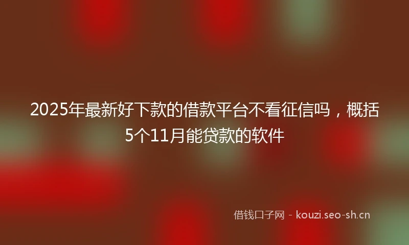 2025年最新好下款的借款平台不看征信吗，概括5个11月能贷款的软件