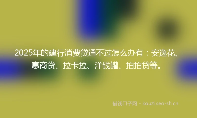 2025年的建行消费贷通不过怎么办有：安逸花、惠商贷、拉卡拉、洋钱罐、拍拍贷等。