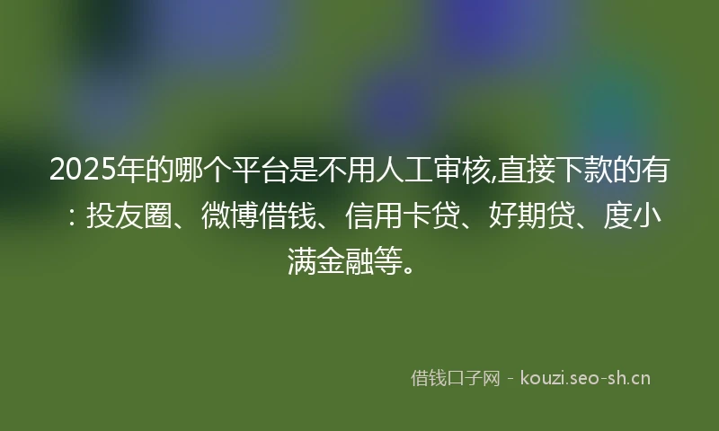 2025年的哪个平台是不用人工审核,直接下款的有：投友圈、微博借钱、信用卡贷、好期贷、度小满金融等。