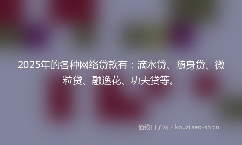 2025年的各种网络贷款有：滴水贷、随身贷、微粒贷、融逸花、功夫贷等。