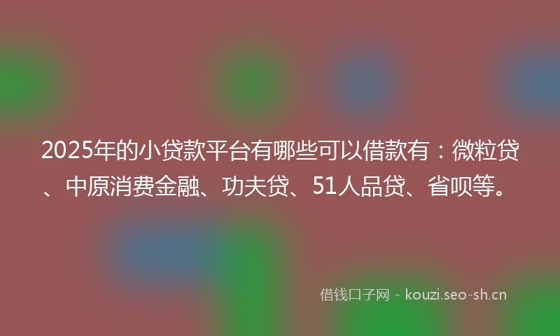 2025年的小贷款平台有哪些可以借款有：微粒贷、中原消费金融、功夫贷、51人品贷、省呗等。
