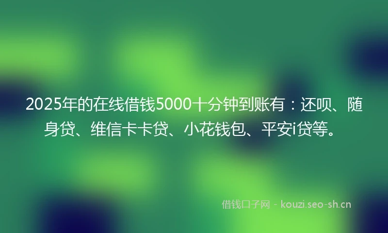 2025年的在线借钱5000十分钟到账有：还呗、随身贷、维信卡卡贷、小花钱包、平安i贷等。