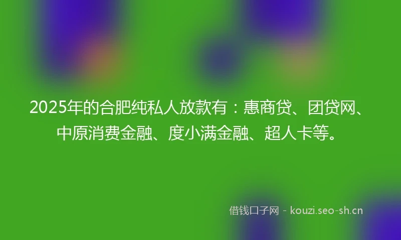 2025年的合肥纯私人放款有：惠商贷、团贷网、中原消费金融、度小满金融、超人卡等。
