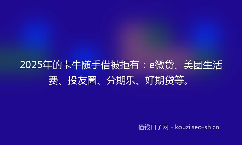 2025年的卡牛随手借被拒有：e微贷、美团生活费、投友圈、分期乐、好期贷等。