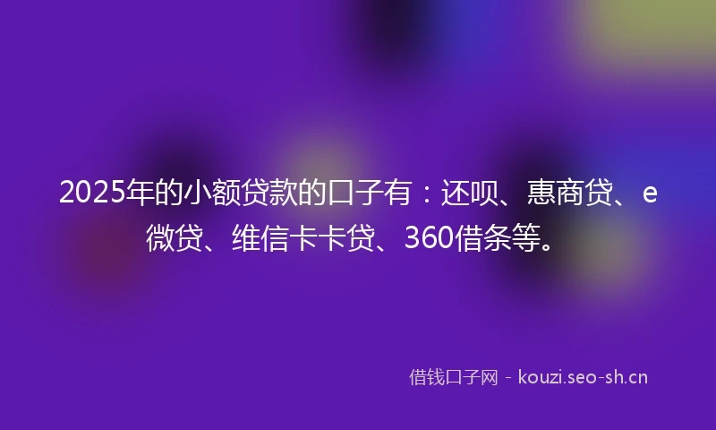 2025年的小额贷款的口子有：还呗、惠商贷、e微贷、维信卡卡贷、360借条等。
