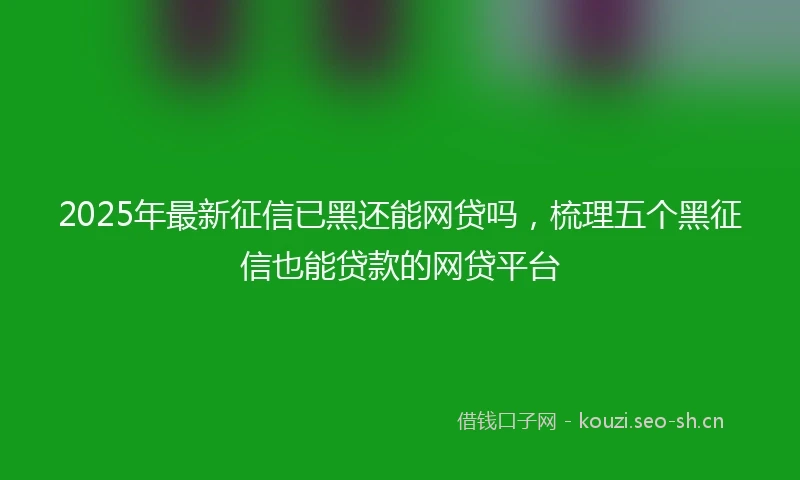 2025年最新征信已黑还能网贷吗，梳理五个黑征信也能贷款的网贷平台